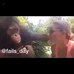 Орангутан подшучивает над девушкой