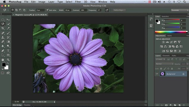 Adobe photoshop, Working with the Lasso Tools