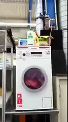 Really Amazing Must See - YouTube