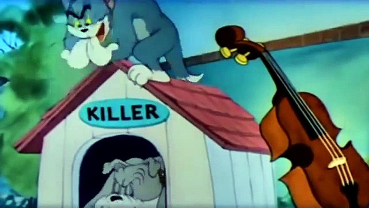 Tom and Jerry new cartoon 2015 - cats and dogs battle