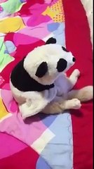 The cutest videos on the internet right now! - YouTube