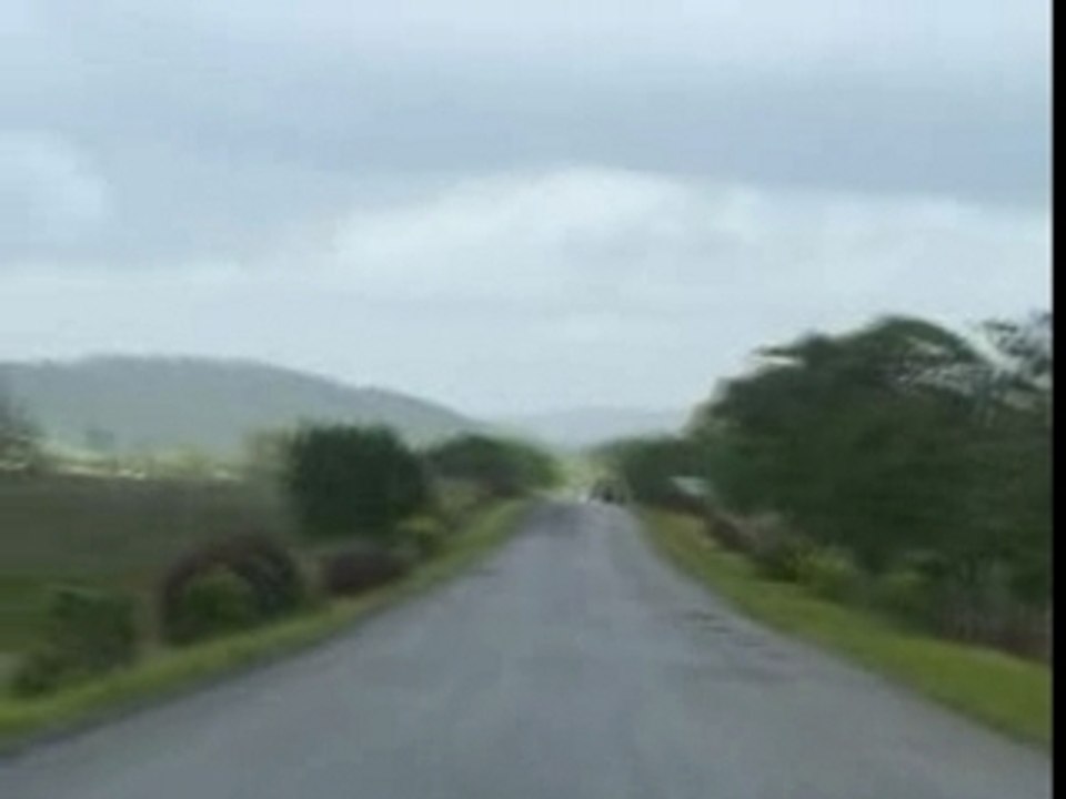 Cayojutia