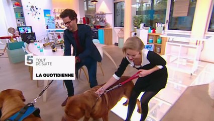 Bande-Annonce : le ski-dog, le nouveau sport de La Quotidienne