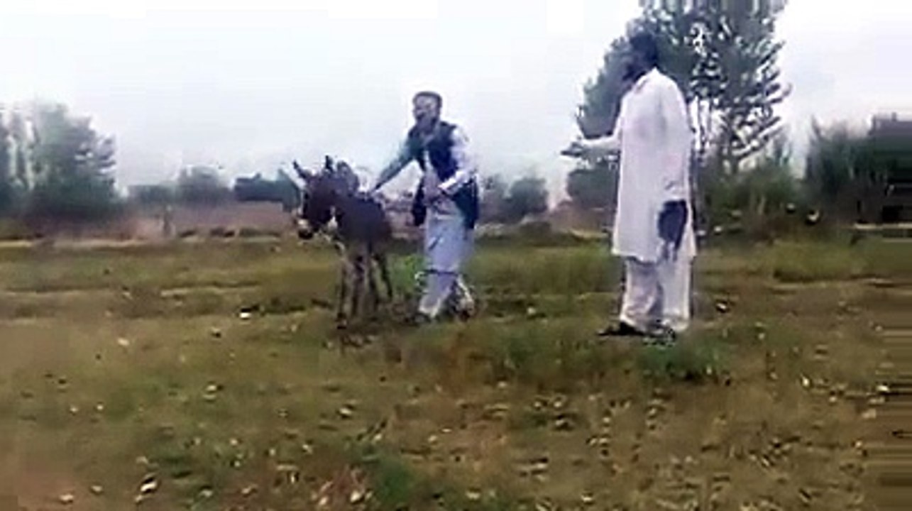 Pathans Shughal