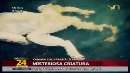 Cette étrange créature trouvée au Paraguay serait-elle le légendaire Chupacabra ?