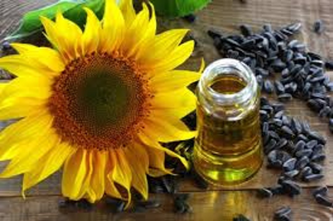 Sunflower Oil Benefits for Skin, cancer, strong bones and prevent heart disease