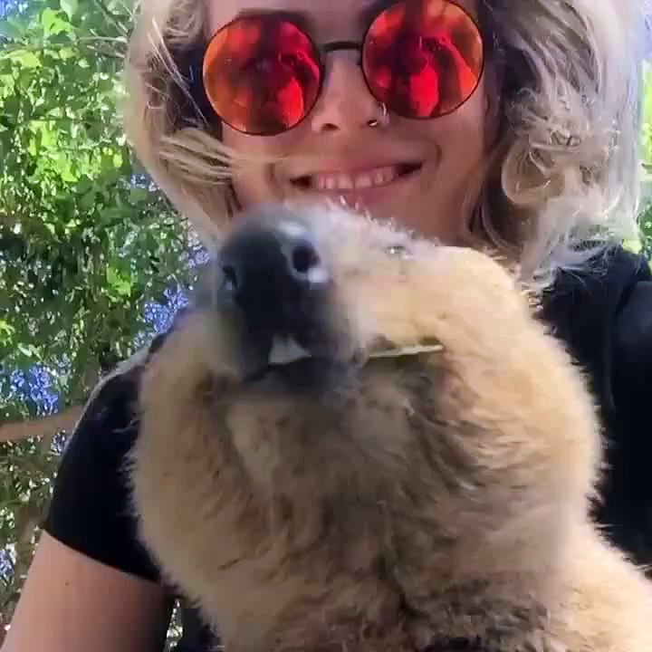 This might just make your heart explode