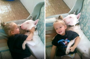 Little Girl And Bull Terrier Cuddle