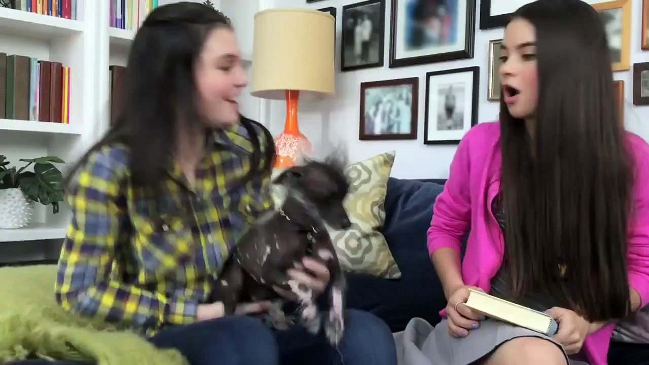 Share The Adventure Belle