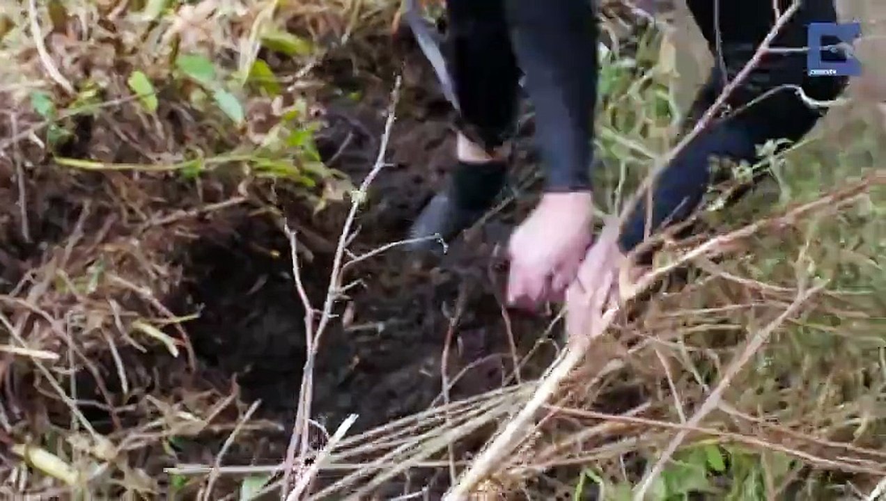 Cet homme a gagné plus de 15 Millions de dollars en ramassant des balles de golf