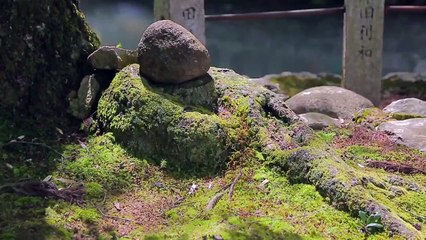 ARIGATOU Go I Must | Wakayama & Nara : Teaser EP.8