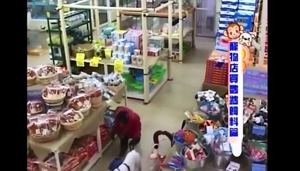 Pankun & James: Animals visit pet store ~ And buy Parrot Fodder engsub 狗狗猩猩大冒險