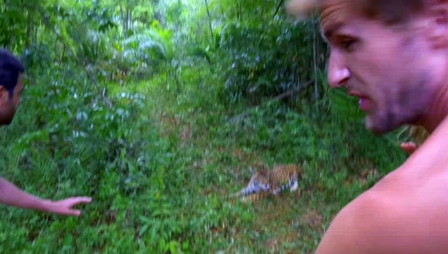 Babysitting 2 / Extrait La Panthère [Au cinéma le 2 décembre 2015]