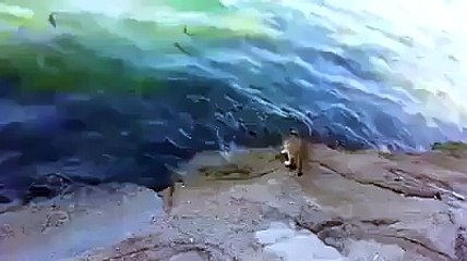 اللہ رزق ضرور دے دیتا ہے ، لیکن اس کیلئے محنت اور صبر دونوں ضروری ہیں