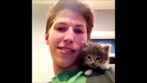 Katzen Video - Lustige Katzen Videos in nur einer Compilation !!! #1