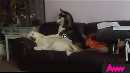 ''Wake up and lets go play''