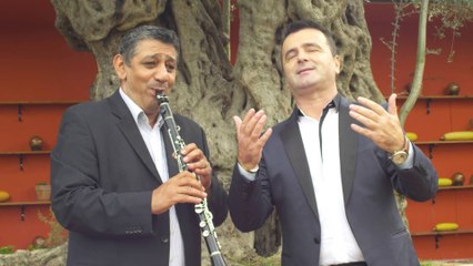 BUJAR CICI DEMO