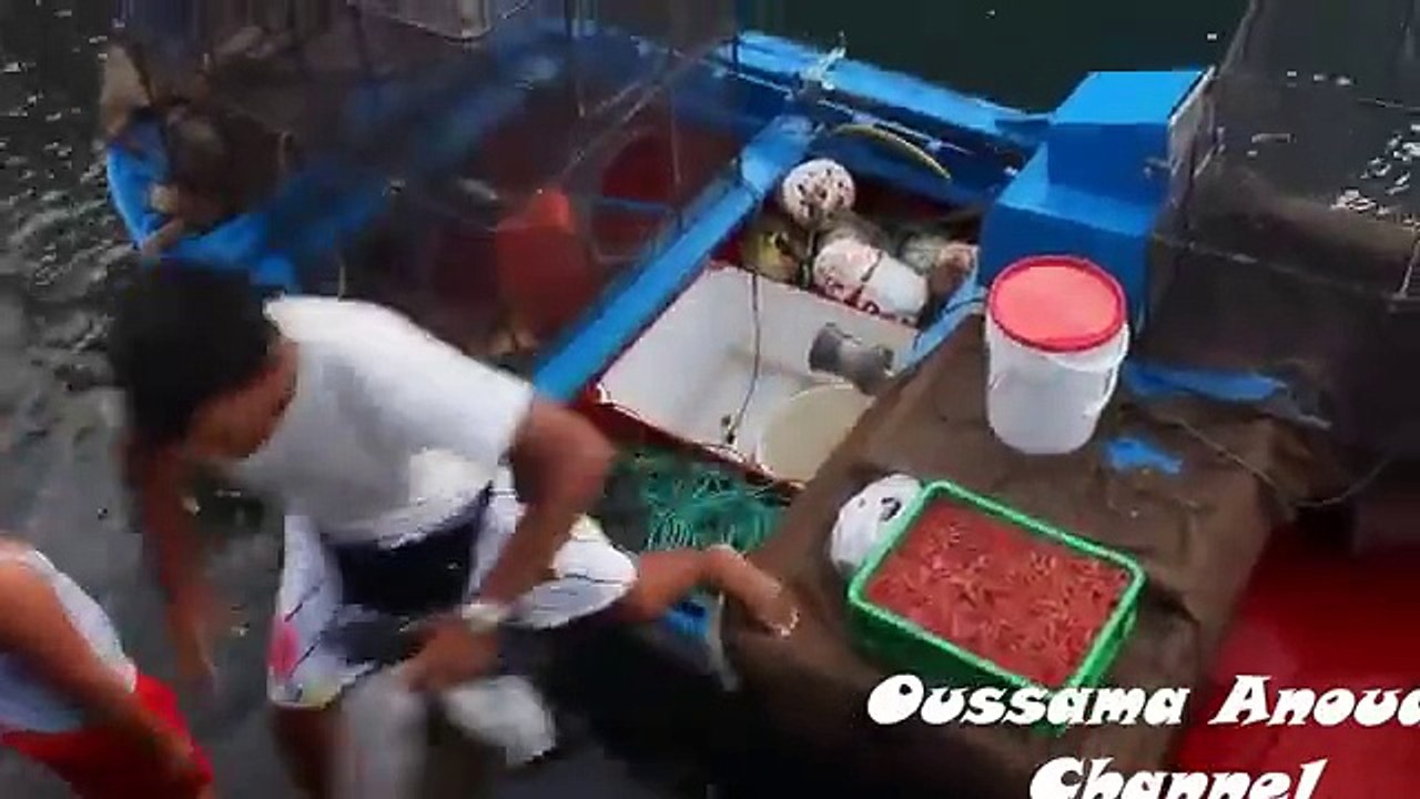 plays-with-a-very-strange-friend-when-we-realized-what-it-was-shocking-video