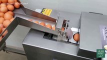 This mesmerizing machine breaks eggs in line!
