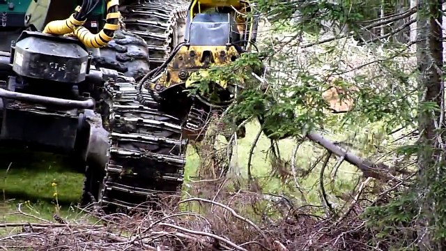 amazing tree cutting machine, spider tree Cutting Machine, timberjack forest cutting machi