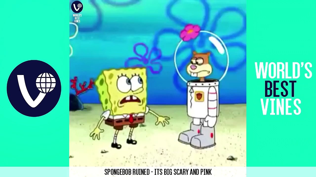 NEW BEST VINES OF MARCH 2015 (Part 1) | MARCH 2015 VINE COMPILATION | NEW VINES