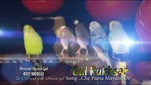 Gul Rukhsar New Song che pa ma mayane de Pushtotube.net