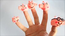 Fun Peppa Pig Lollipops Finger family Nursery Rhyme Song Fun