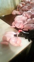 Sahtekarlıkta master yapmış insanlar!