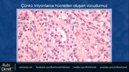 İnsan En Fazla Kaç Yıl Yaşayabilir?