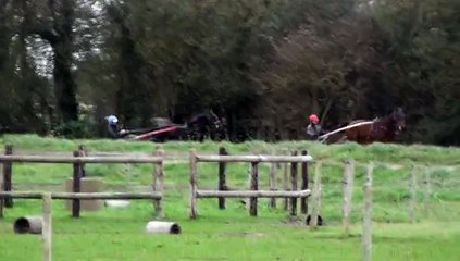 DISCO QUEEN ET DAGUE D AVRIL EN PISTE