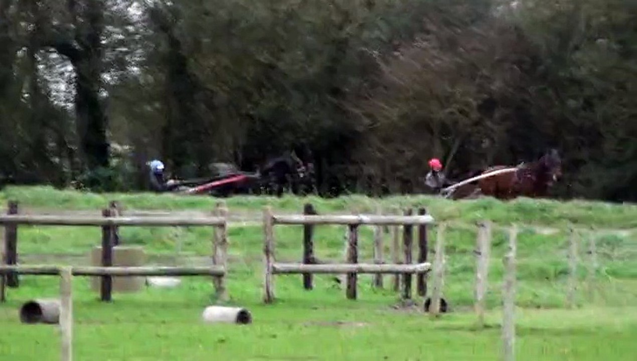 DISCO QUEEN ET DAGUE D AVRIL EN PISTE