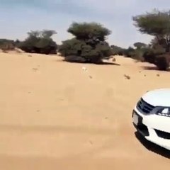 شيلة سعودية  | البارحه قلبي من الهم ما بات  |  جنون الشباب