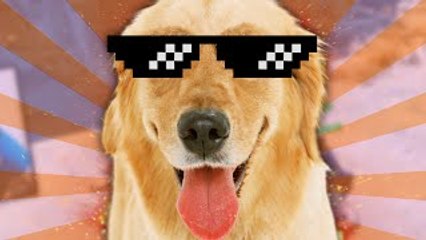 LE BLED'ART-MON CHIEN C'EST UN OUF ! - Fallout 4 #2