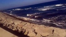 فيديو .. نفوق حوت ضخم بشاطئ مرقالة بطنجة