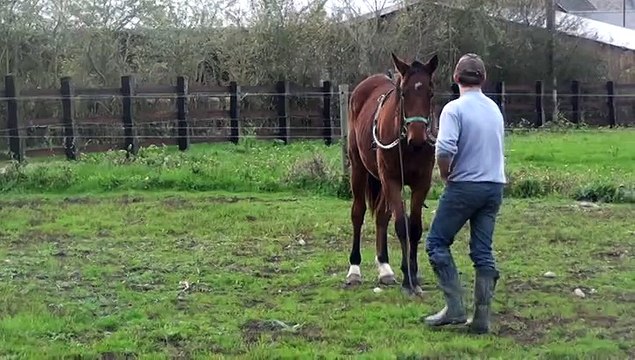 EVIDENCE QUEEN AUX ELASTIQUES