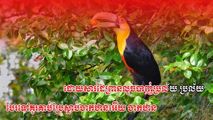 កេងកងបា់កូន​​​  ken kong bat kon