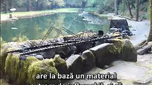 Ordinul morții (RO)