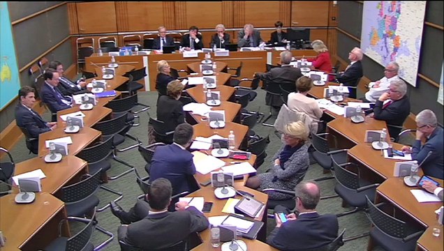 28.10.2015 - Commission du Développement Durable : Oies Cendrées (rapport)