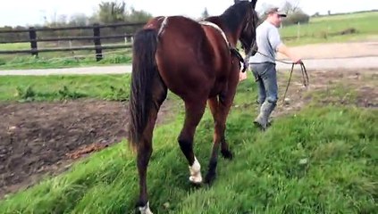 EYES OF LAURA MARS AUX ELASTIQUES