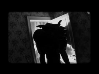 SHARKO "Sweet protection"