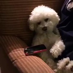 When someone tries to take your phone