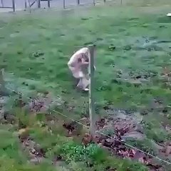 When you get out of the shower and you forget your towel