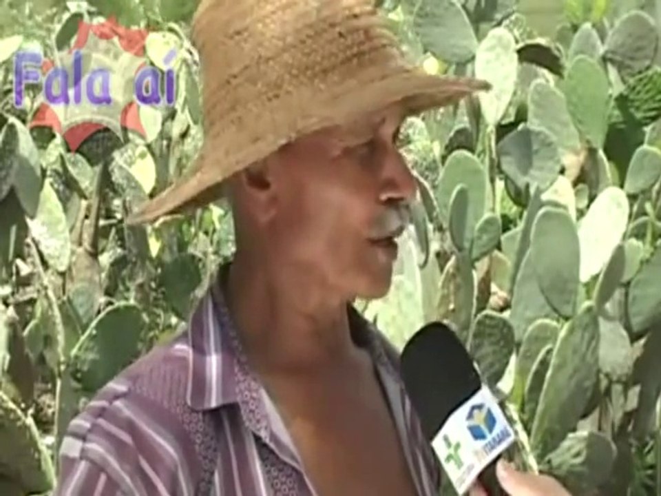 Você entendeu o que ele falou??!