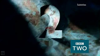 R4 Two ident 2015 - Cooper Cut-Out