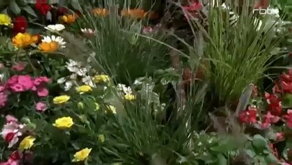 Ein unverbesserlicher Dickkopf Ganzer Film Komödie 2007