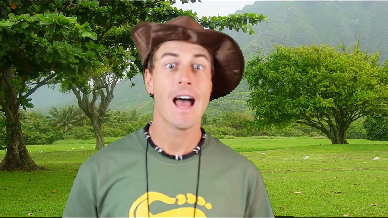 Bizarre Animal - Pink Fairy Armadillo