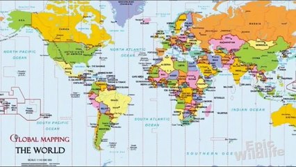 Human Faced Sea Creature