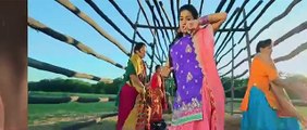 Phulkari _ Desi Robinhood _ Kaur B _ Full Music Video 2015 -