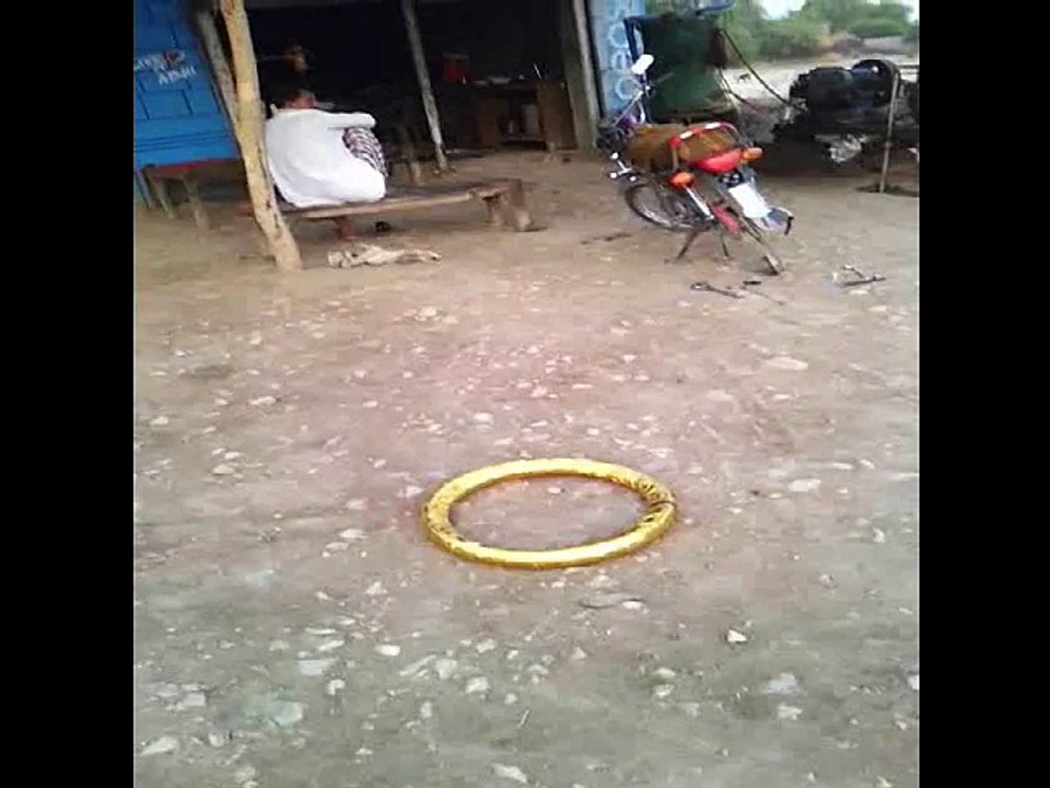 Pakistani Magic