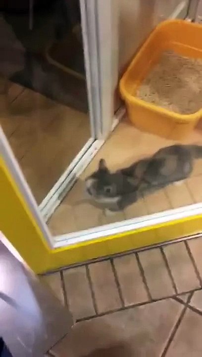 Please, open the door!!!!